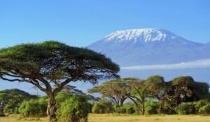 mount kilimanjaro trek